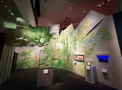 Woodland gallery and collection displays